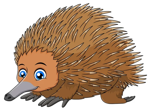 Bonito Bico Curto Echidna Desenho Animado Ilustração Vetor — Vetor de Stock