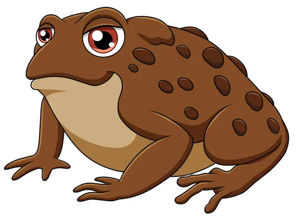 귀여운 두꺼비 — 스톡 벡터