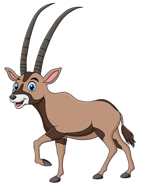 Schattig Oryx Dier Cartoon Vector Illustratie — Stockvector