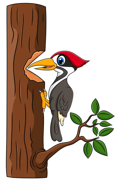 Lindo Pájaro Carpintero Ilustración Vector Dibujos Animados — Archivo Imágenes Vectoriales