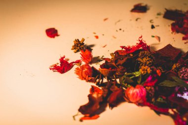 Beyaz arkaplanda kurumuş kırmızı çiçekler