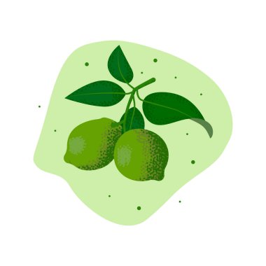 Bir dalda kireç ve yapraklar. Tahıl dokusuyla vektör illüstrasyonu.