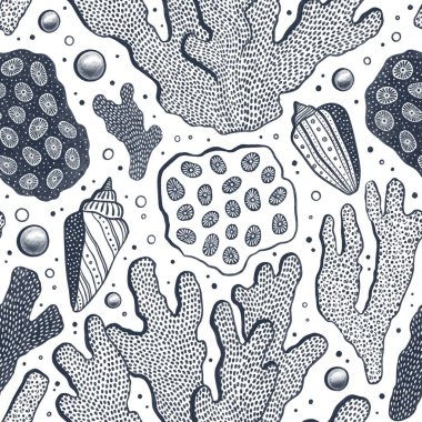 Güzel deniz kabukları, mercanlar ve incilerle kusursuz bir desen. Okyanus arkaplanı.