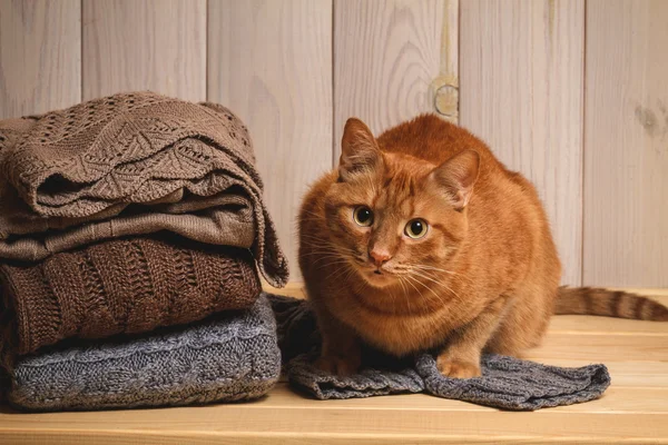 Montón de suéteres de punto y gato rojo — Foto de Stock