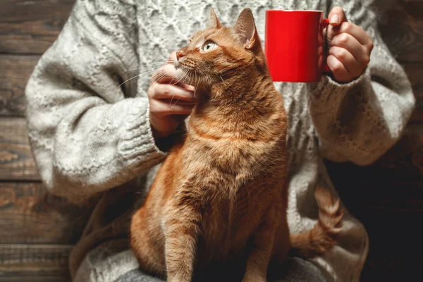 Chica Suéter Caliente Bebiendo Café Con Gato Rojo Regazo — Foto de Stock