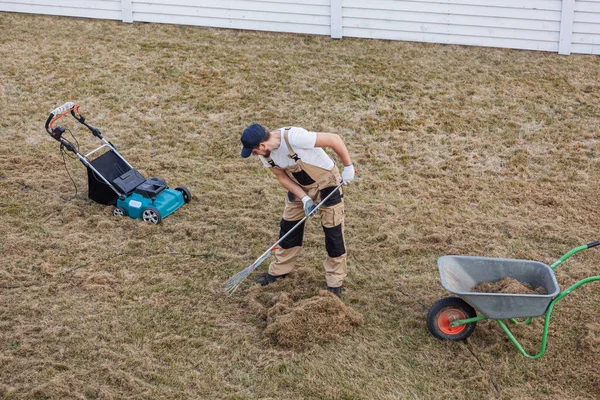 Scarifying Trawnik Grabie Scarifier Człowiek Ogrodnik Scarifies Trawnik Usuwanie Starej — Zdjęcie stockowe