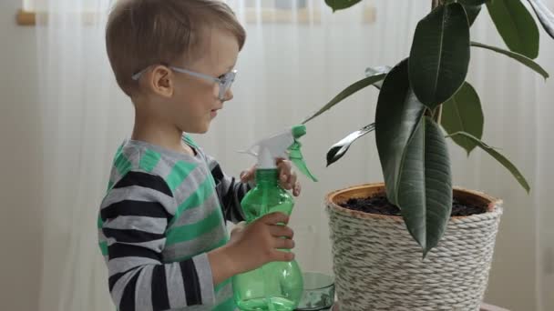 Опрыскивание дома для детей, дающее растение для выращивания воды — стоковое видео