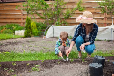 Arka bahçedeki sebze bahçesinde çocuk ve anne bahçıvanlığı