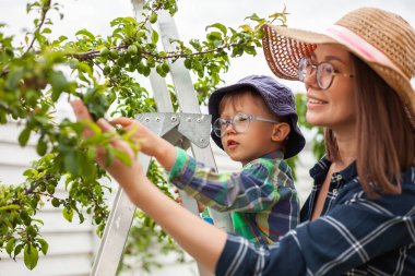 Anne ve çocuk ağaçların yanındaki merdivende bahçede bahçeyle uğraşıyorlar.