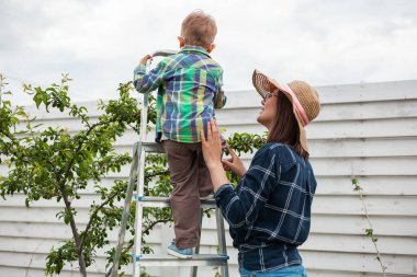 Anne ve çocuk ağaçların yanındaki merdivende bahçede bahçeyle uğraşıyorlar.
