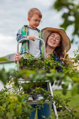 Anne ve çocuk ağaçların yanındaki merdivende bahçede bahçeyle uğraşıyorlar.