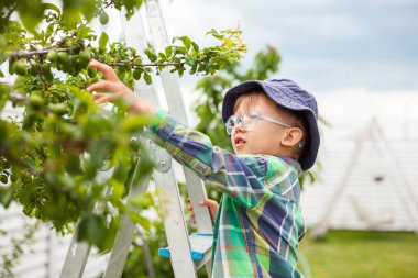 Çocuk ağacın yanındaki merdivende, bahçe bahçesinde.