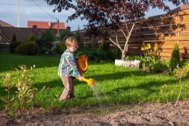 Çocuk sulama konservesi bahçedeki sebze bahçesini suluyor.