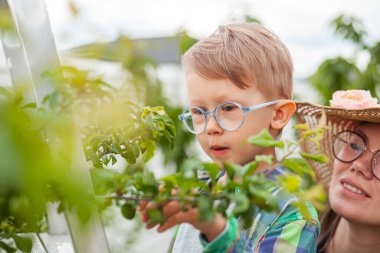 Anne ve çocuk ağaçların yanındaki merdivende bahçede bahçeyle uğraşıyorlar.