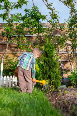 Çocuk sulama konservesi bahçedeki sebze bahçesini suluyor.