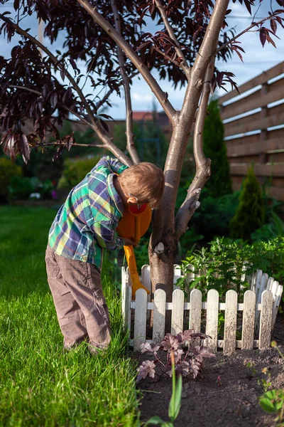 Child Watering Can Watering Tree Garden Backyard — Foto Stock