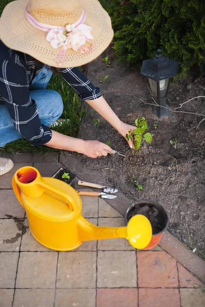 Woman Gardener Hat Working Garden Backyard — Stock Fotó