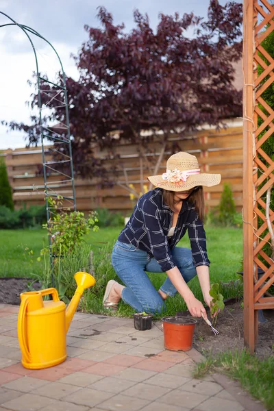 Woman Gardener Hat Working Garden Backyard — Stock fotografie