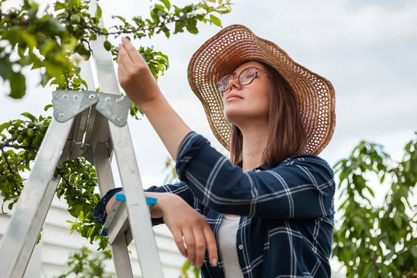 Portrait Woman Gardener Hat Working Garden Backyard — Fotografia de Stock