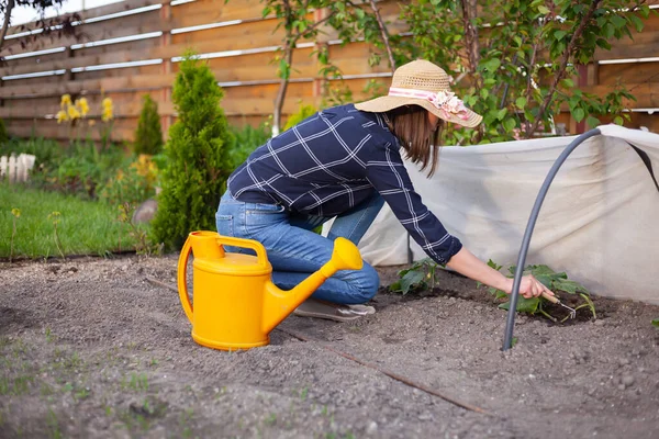 Woman Gardener Hat Working Garden Backyard — Foto de Stock