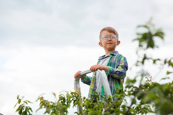 Child Ladder Tree Gardening Backyard Garden — Stock Photo, Image