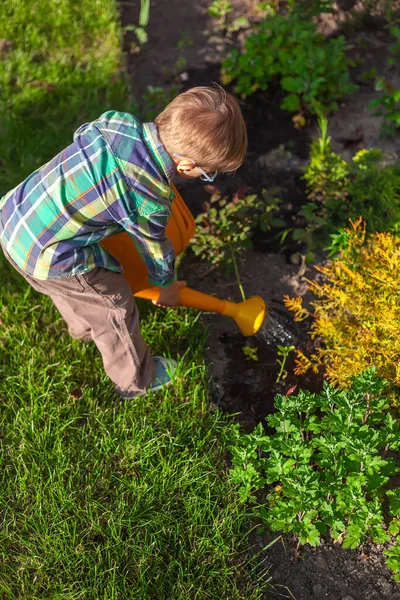 Criança Que Molha Pode Molhar Uma Horta Quintal — Fotografia de Stock