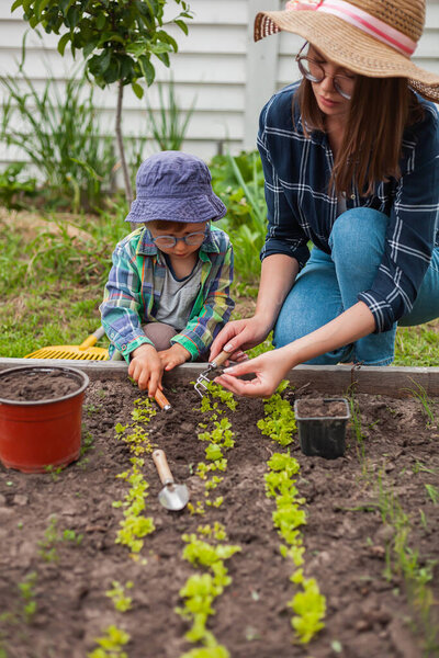 Child and mother gardening in vegetable garden in the backyard
