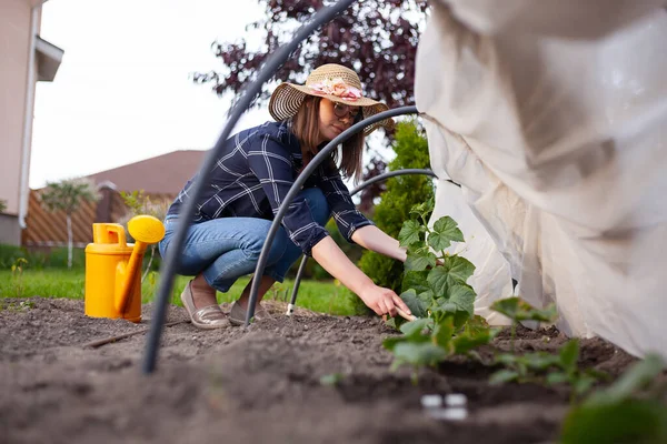 Woman Gardener Hat Working Garden Backyard — Foto de Stock