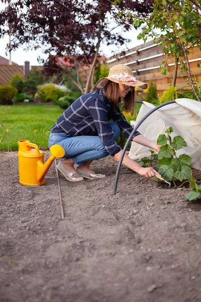 Woman Gardener Hat Working Garden Backyard — Foto de Stock