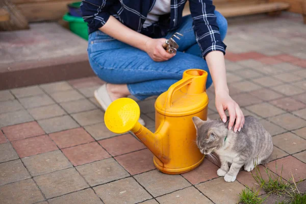 Woman Gardener Cat Watering Plants Garden Backyard — Stok fotoğraf