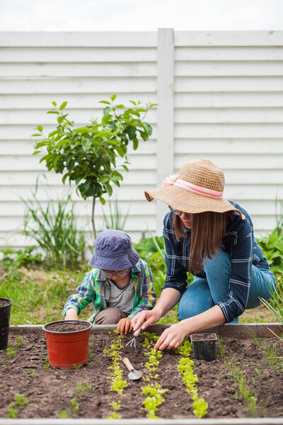 Child and mother gardening in vegetable garden in the backyard