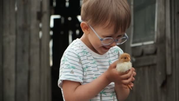 Παιδί που κρατάει μια γκόμενα στο χέρι στην πίσω αυλή της φάρμας — Αρχείο Βίντεο