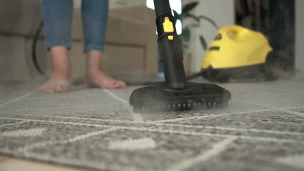 청소기로 카펫을 청소하는 — 비디오