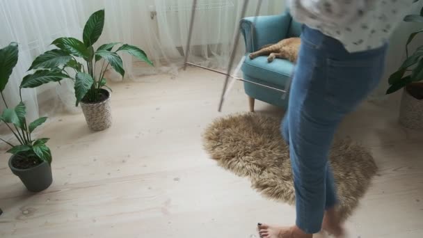 Vrouw decoreren interieur salontafel, gember kat slapen in fauteuil thuis — Stockvideo