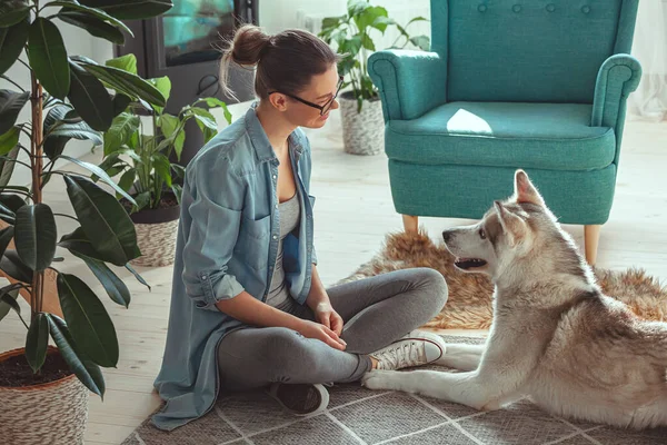 Jovem Está Levantando Brincando Com Seu Cão Doméstico Siberian Husky — Fotografia de Stock