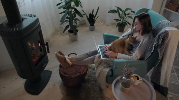 Jovem mulher usando laptop, sentado ao lado da lareira na poltrona, acariciando um gato doméstico gengibre. Trabalho remoto, horários de trabalho flexíveis — Vídeo de Stock