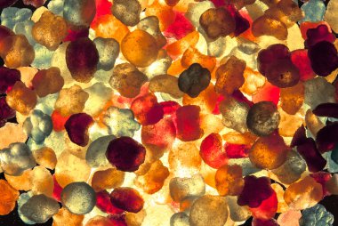 NET, parlak, renkli, lezzetli şeker.