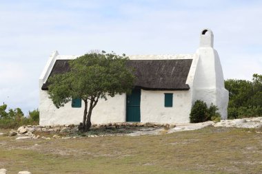 Önünde ağaç olan balıkçının evi.