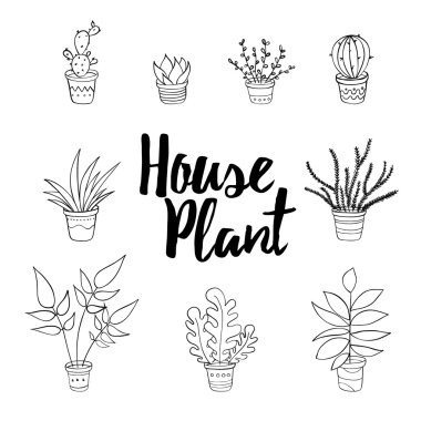 House bitkiler el çizmek seti.