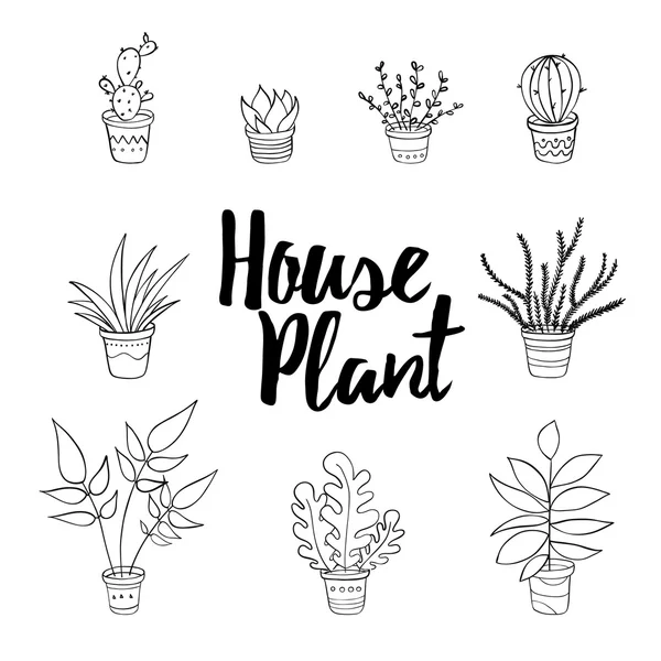 House bitkiler el çizmek seti.