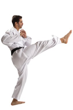 Farklı ülkelerden judo avcı