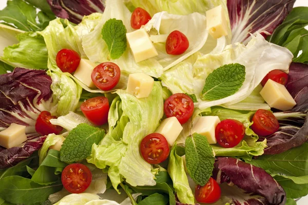 Salada de alface e tomate — Fotografia de Stock