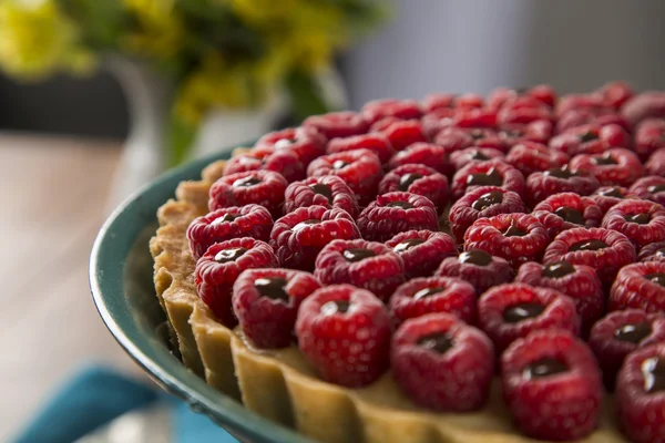 Lezzetli bir ahududu pasta çikolata ile yeşil bir tabakta