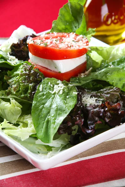 Sla en tomaat Salade — Stockfoto