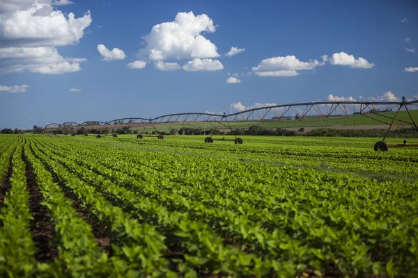 Industrielle Bewässerungsanlagen auf einem Feld unter blauem Himmel — Stockfoto