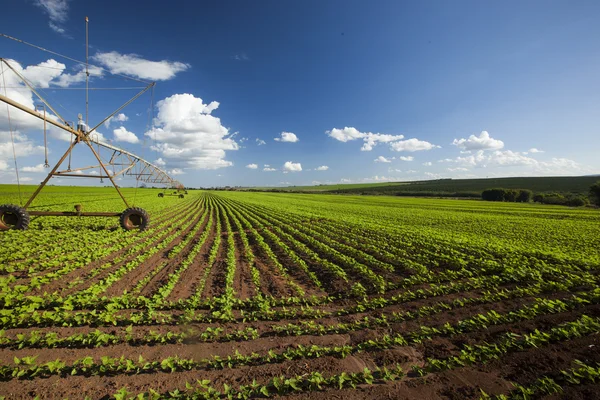 Equipo de riego industrial en el campo de cultivo bajo un cielo azul i —  Fotos de Stock