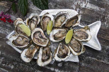 Buz limon ile lezzetli istiridye. 