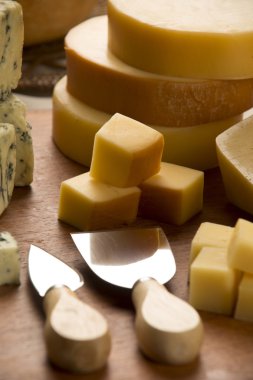 Çeşitli peynirler