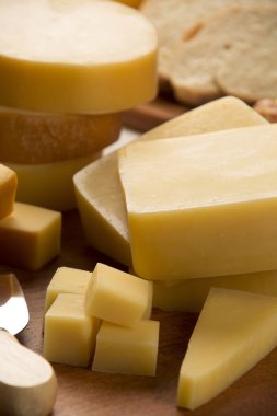 Çeşitli peynirler