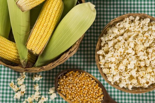 Ear of corn, revealing yellow kernels — Stock Photo, Image